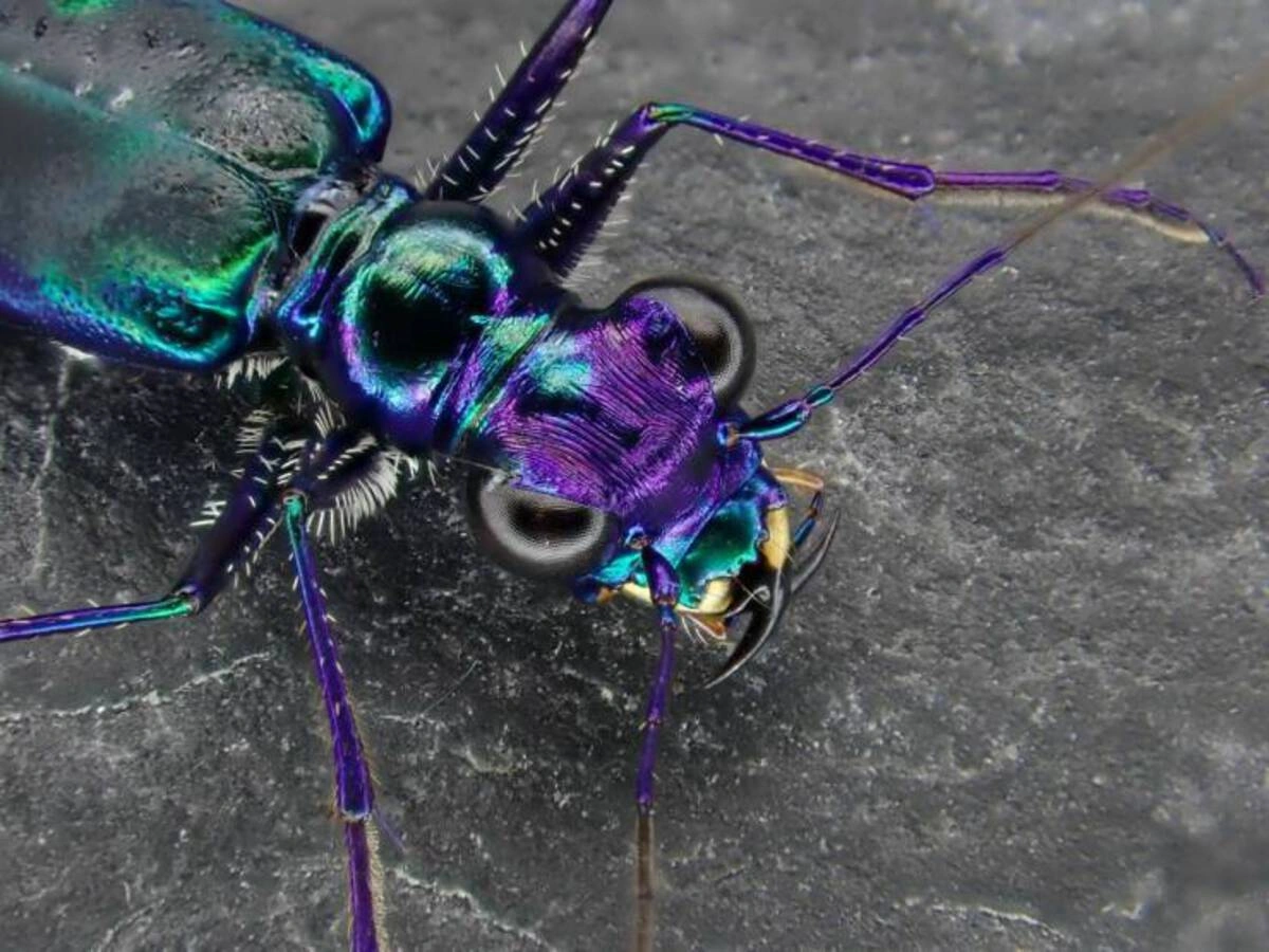 Midweek Mix: 48 Entertaining Images, Memes, and Tweets to Brighten Your Snowy Day