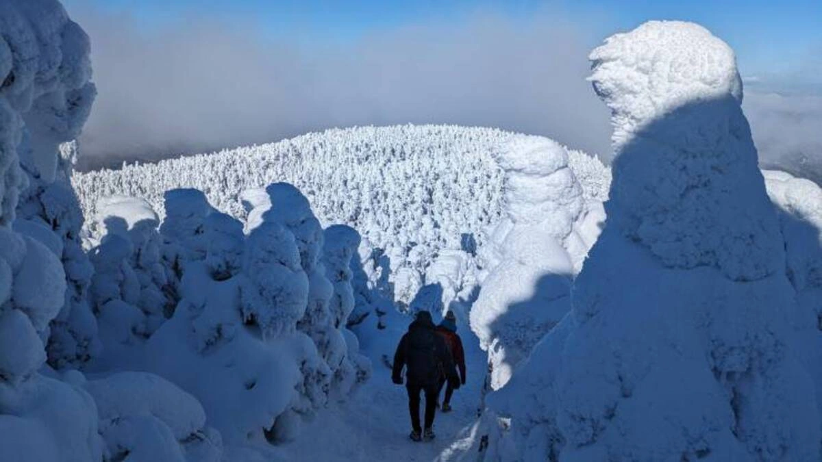 Midweek Mix: 48 Entertaining Images, Memes, and Tweets to Brighten Your Snowy Day