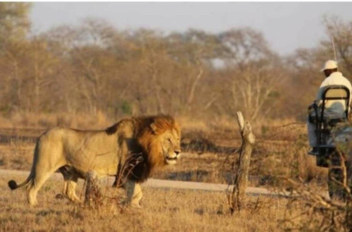 Midweek Mix: 48 Entertaining Images, Memes, and Tweets to Brighten Your Snowy Day