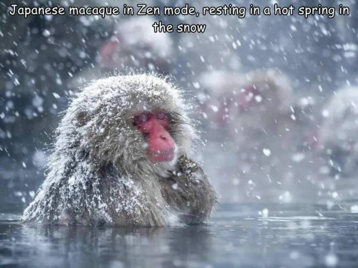 Weekend Wackiness: 48 Whimsical Randoms Unfazed by an Acorn