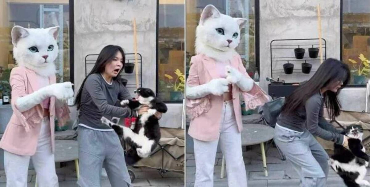 Weekend Wackiness: 48 Whimsical Randoms Unfazed by an Acorn