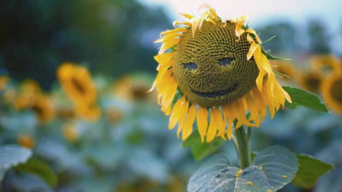 Weekend Wackiness: 48 Whimsical Randoms Unfazed by an Acorn