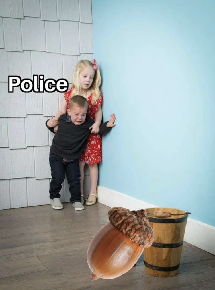 Weekend Wackiness: 48 Whimsical Randoms Unfazed by an Acorn