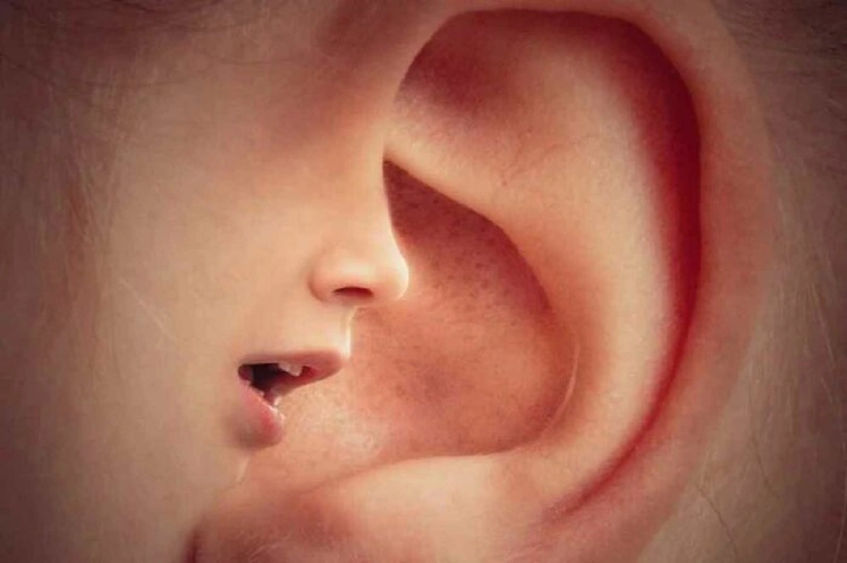 46 Mind-Expanding Facts to Broaden Your Perspective