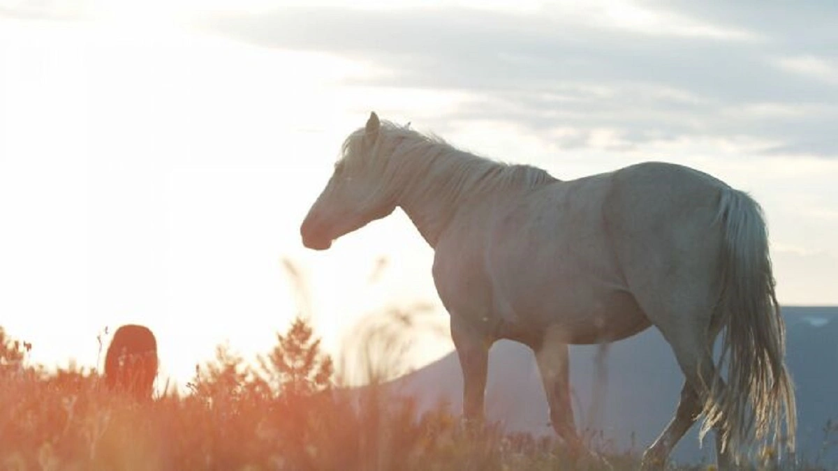 46 Mind-Expanding Facts to Broaden Your Perspective