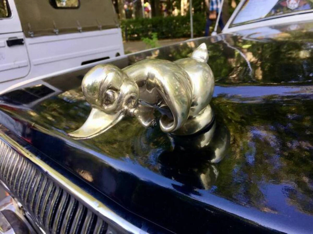 Midweek Madness: 50 Random Nuggets of Joy to Brighten Your Day