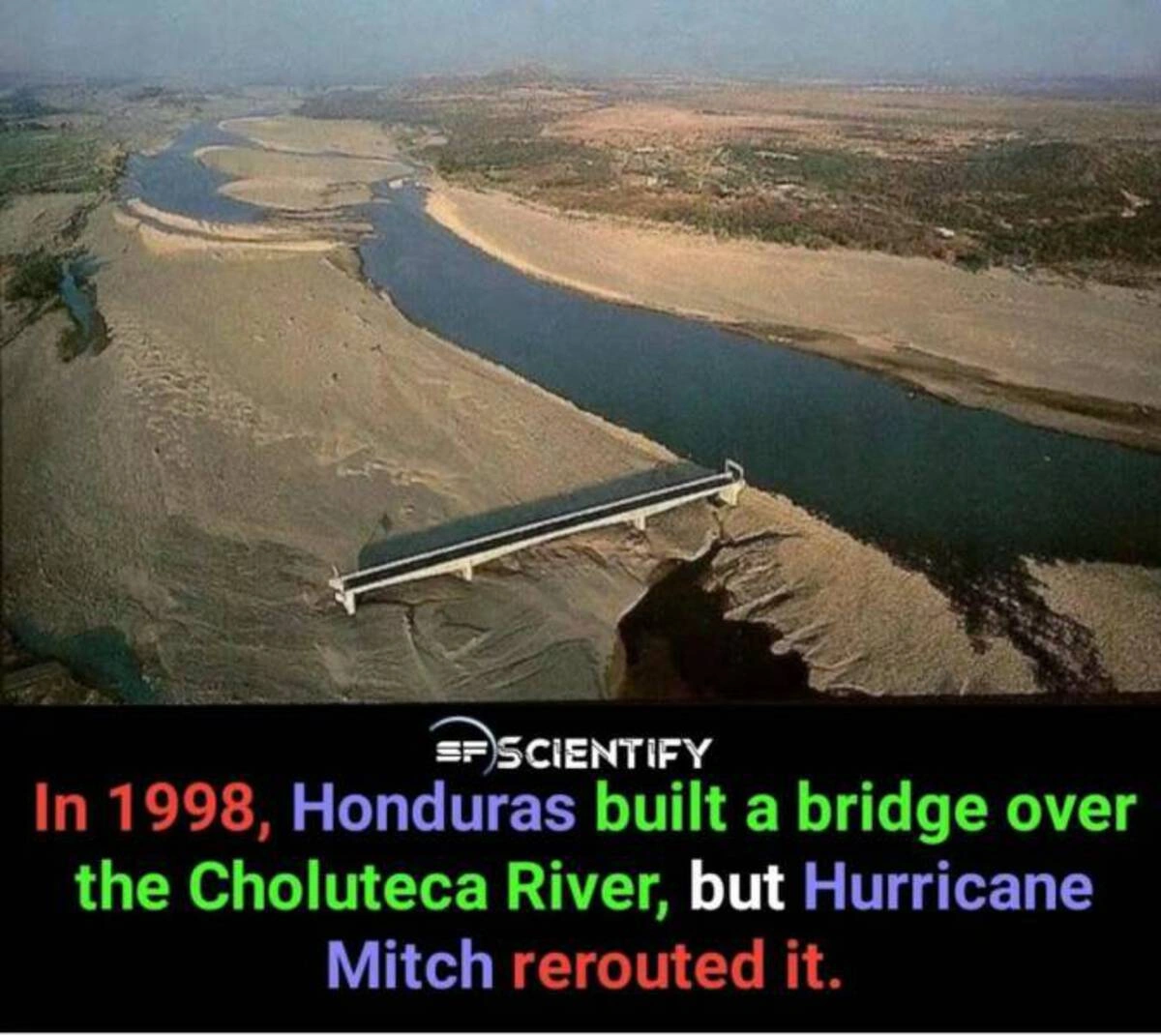 Midweek Madness: 50 Random Nuggets of Joy to Brighten Your Day