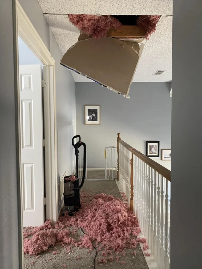 Midweek Madness: 50 Random Nuggets of Joy to Brighten Your Day