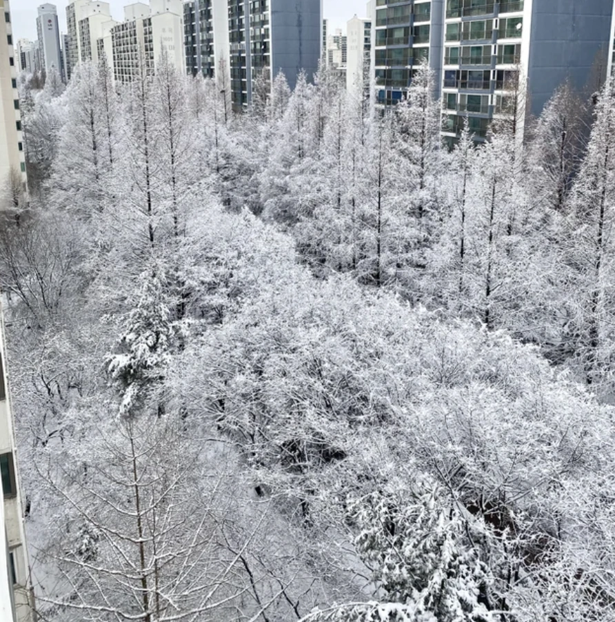 Midweek Madness: 50 Random Nuggets of Joy to Brighten Your Day