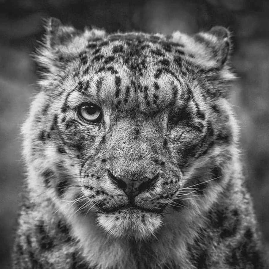 Midweek Madness: 50 Random Nuggets of Joy to Brighten Your Day