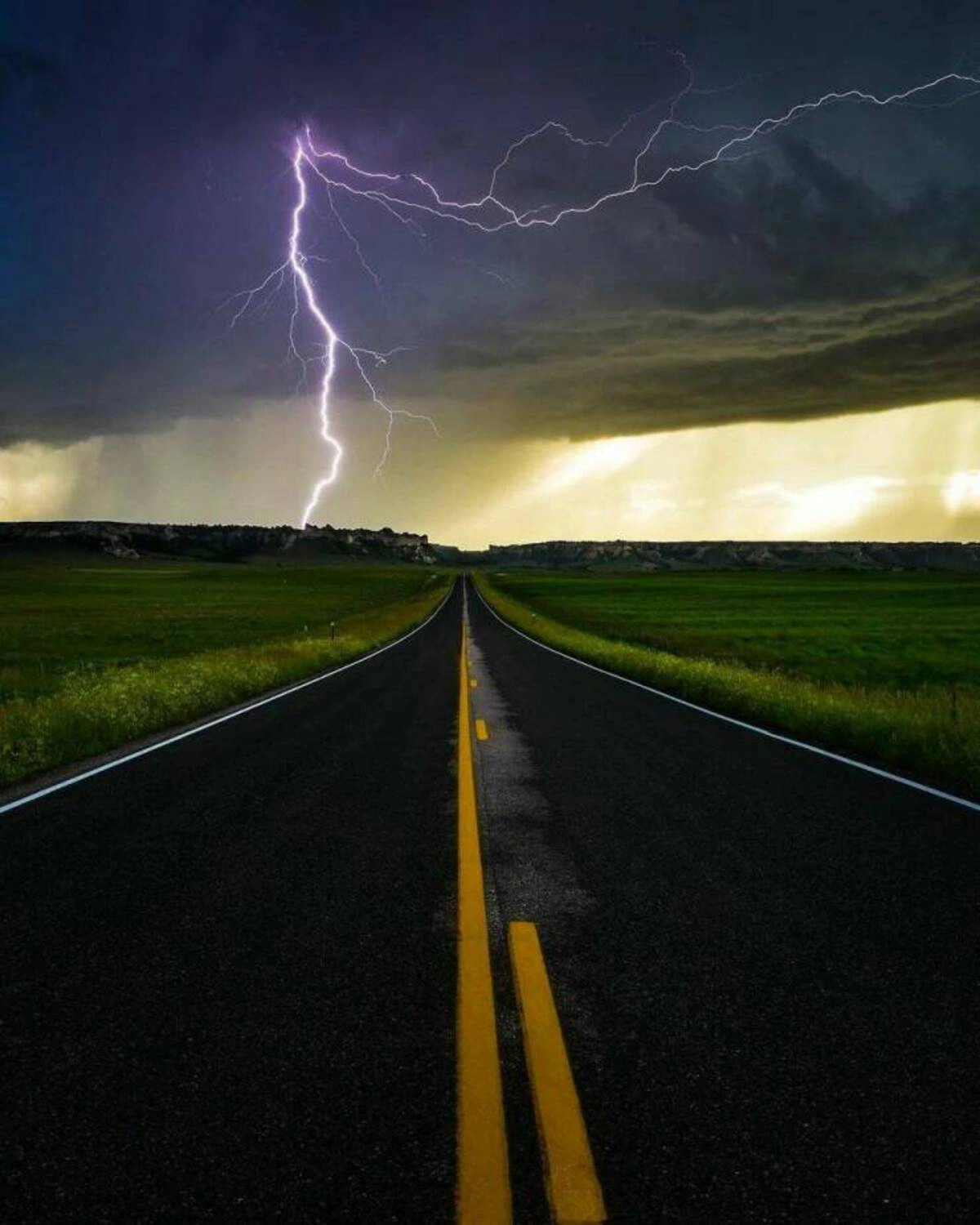 Midweek Madness: 50 Random Nuggets of Joy to Brighten Your Day