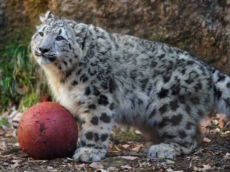 40 Oversized Editions of Everyday Objects