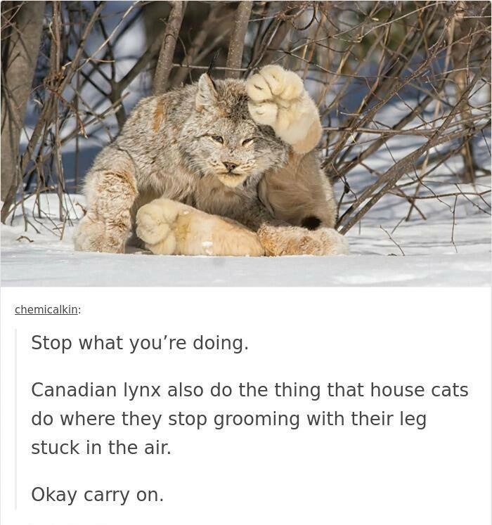 40 Oversized Editions of Everyday Objects