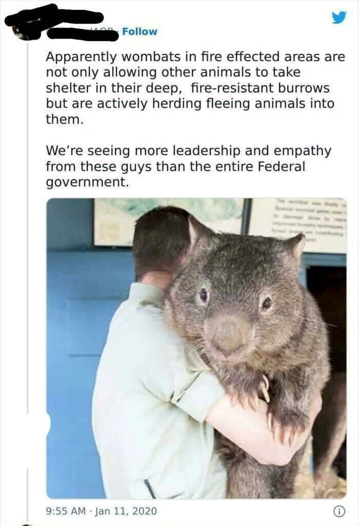 40 Oversized Editions of Everyday Objects