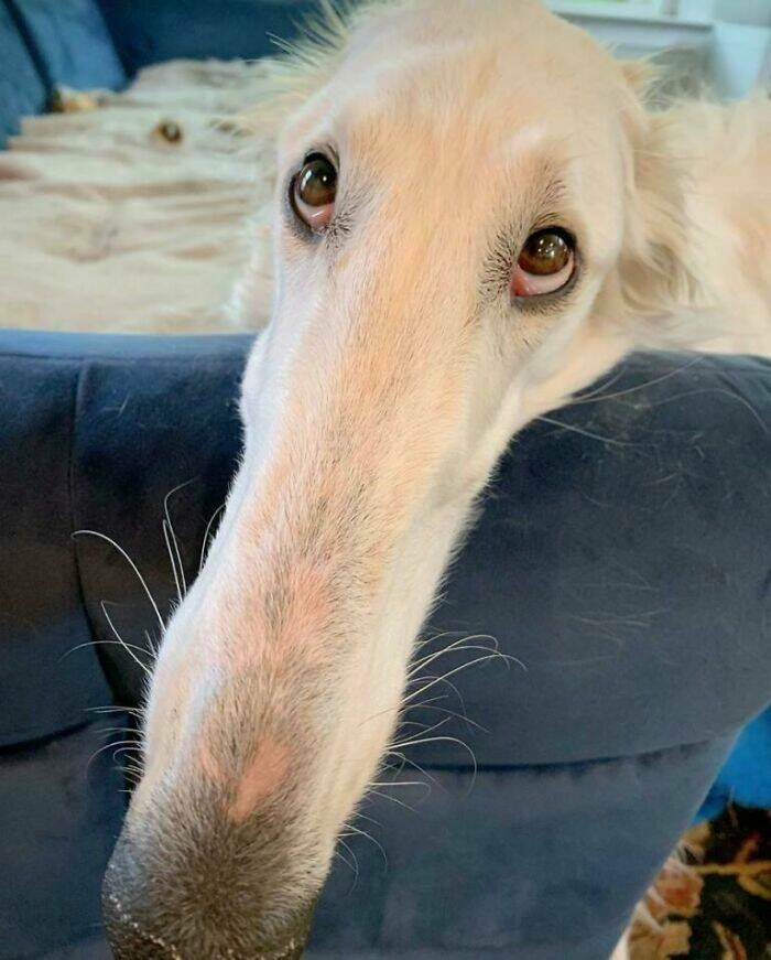 40 Oversized Editions of Everyday Objects