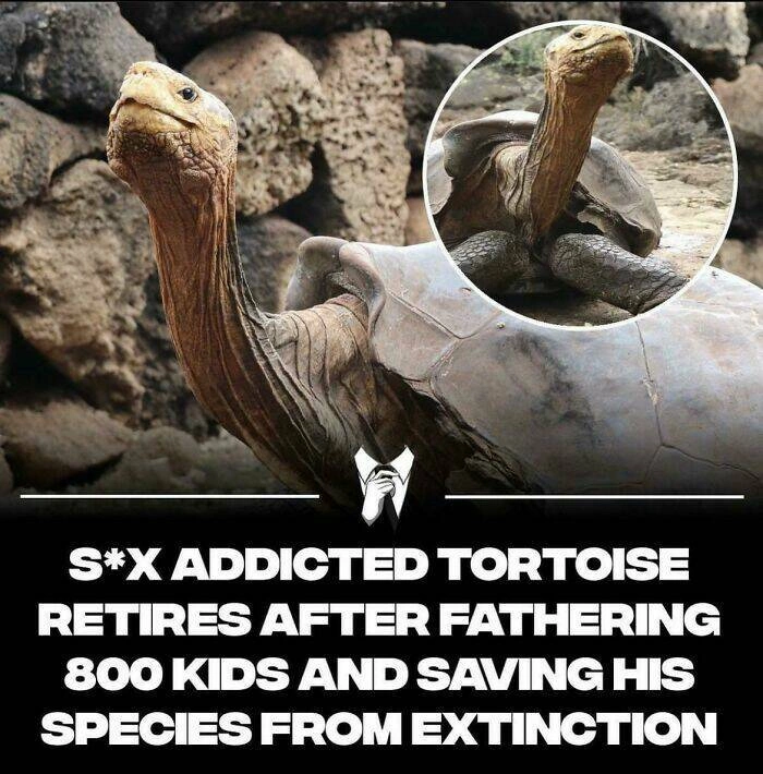 40 Oversized Editions of Everyday Objects