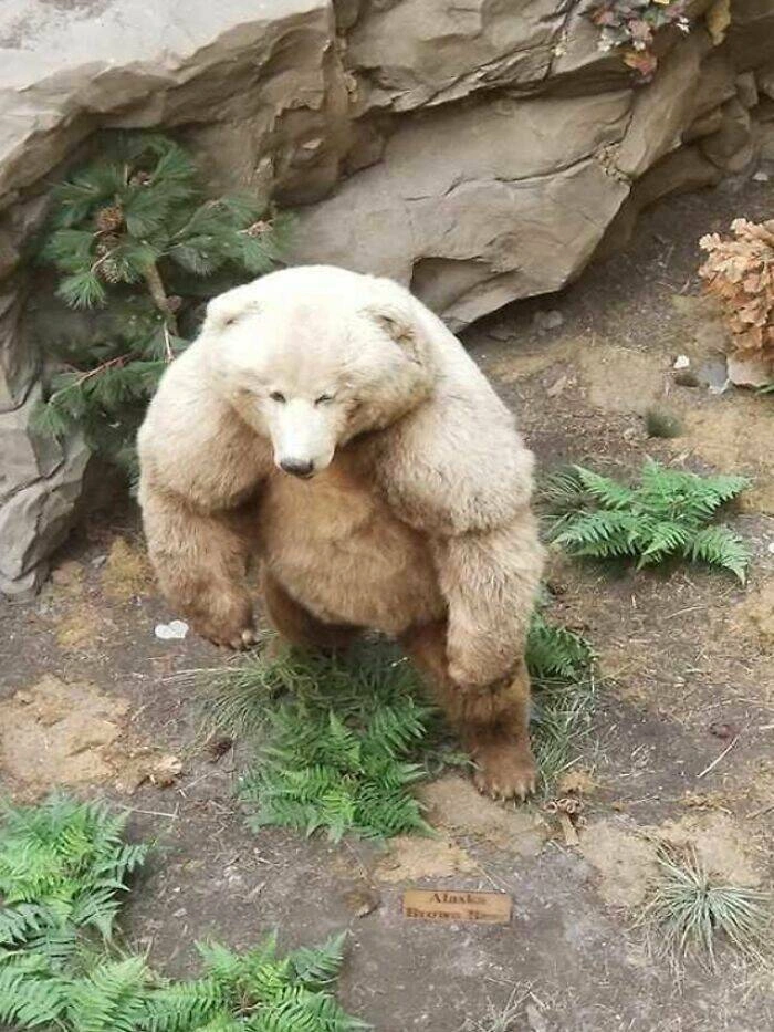 40 Oversized Editions of Everyday Objects