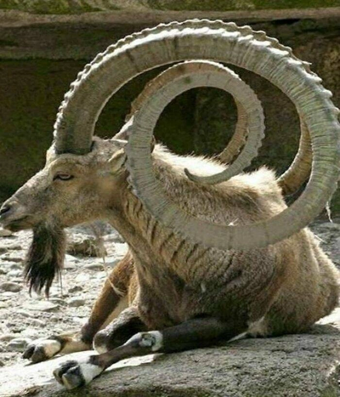 40 Oversized Editions of Everyday Objects