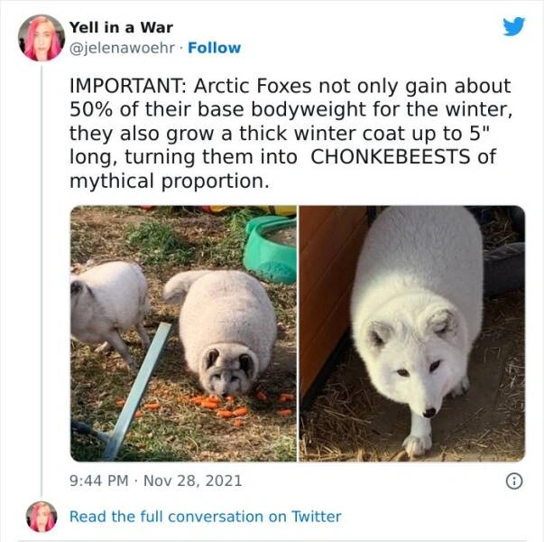 40 Oversized Editions of Everyday Objects