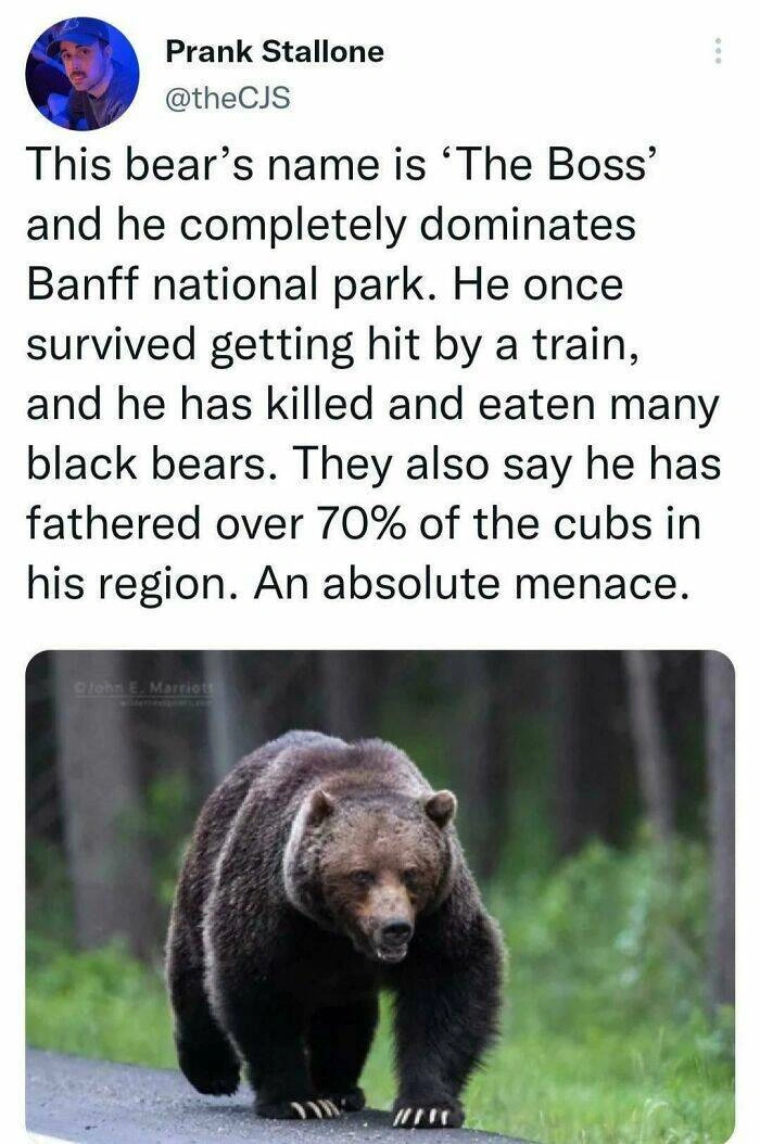 40 Oversized Editions of Everyday Objects