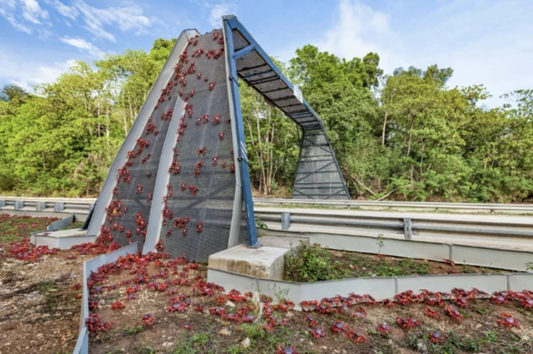 20 Marvelous Architectural Wonders That Will Wow Engineering Enthusiasts