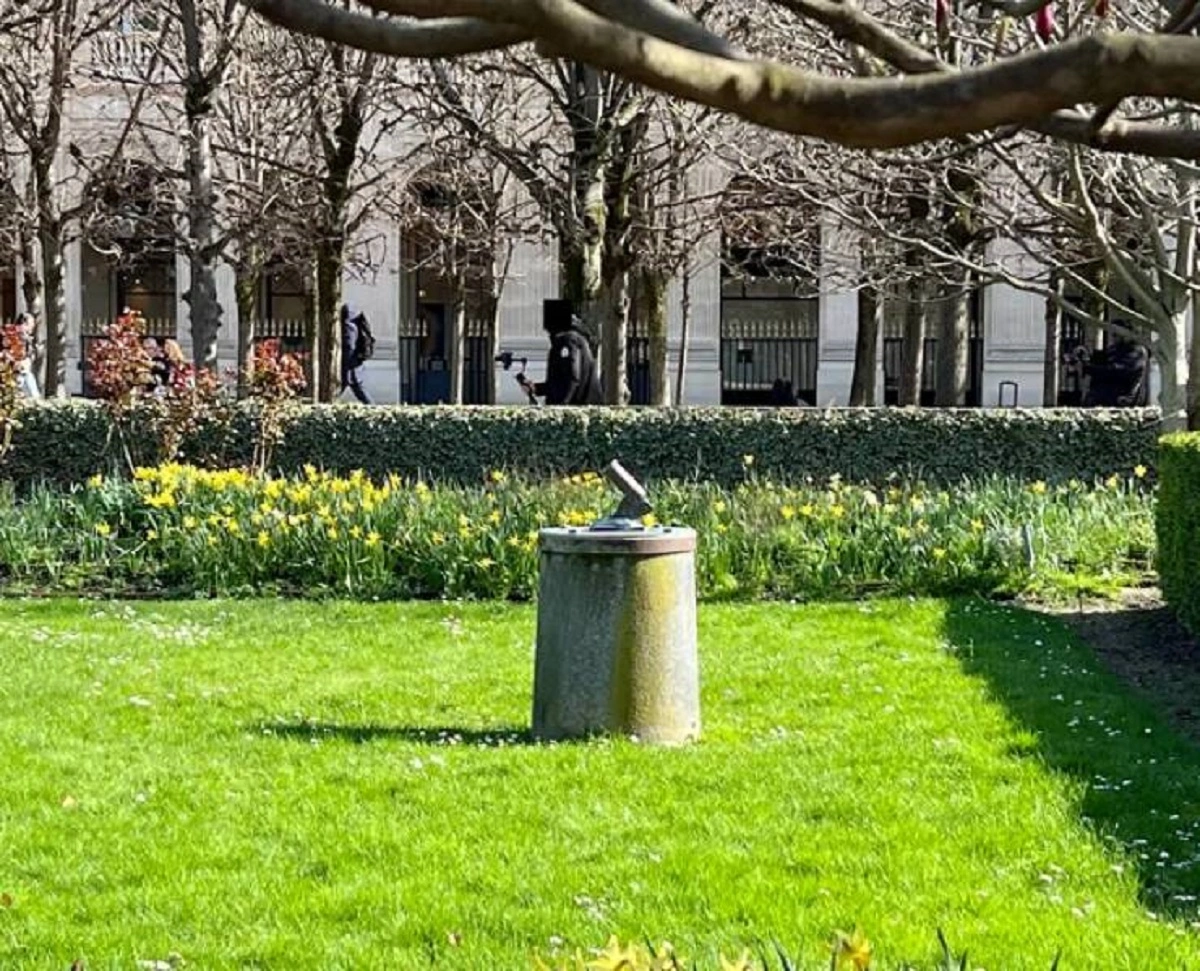 39 Captivating Snapshots from the Neighborhood