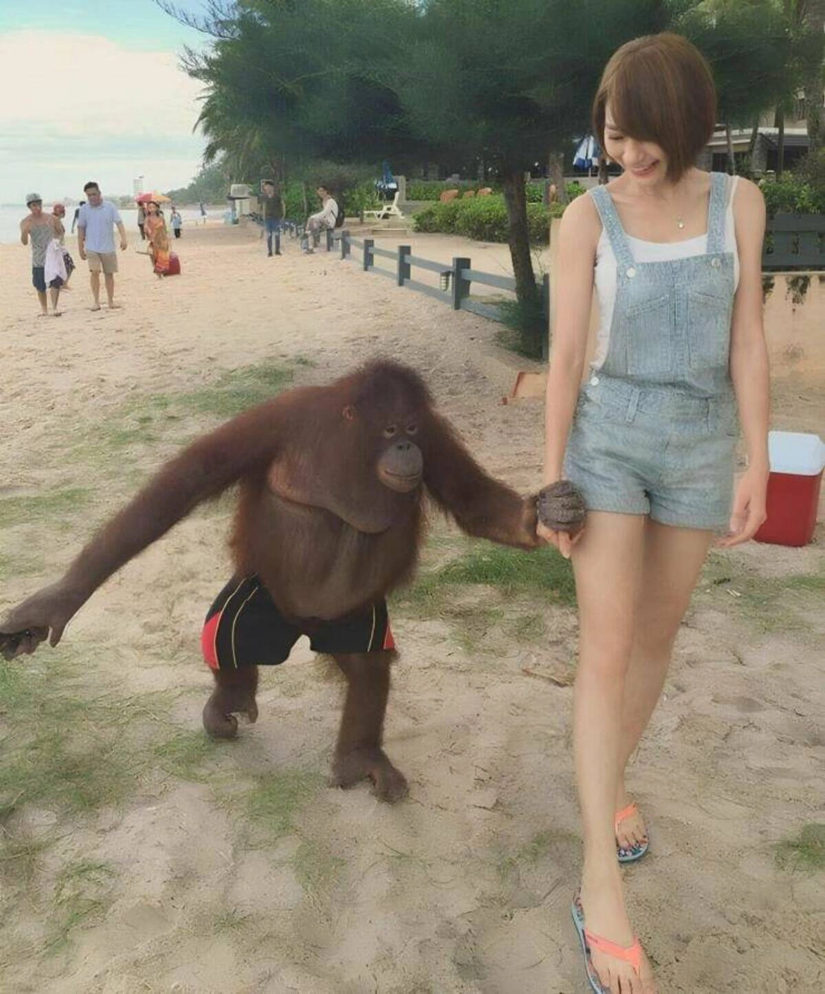 40 Midnight Musings for the Nocturnal Souls