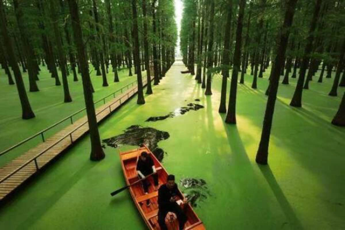 40 Midnight Musings for the Nocturnal Souls