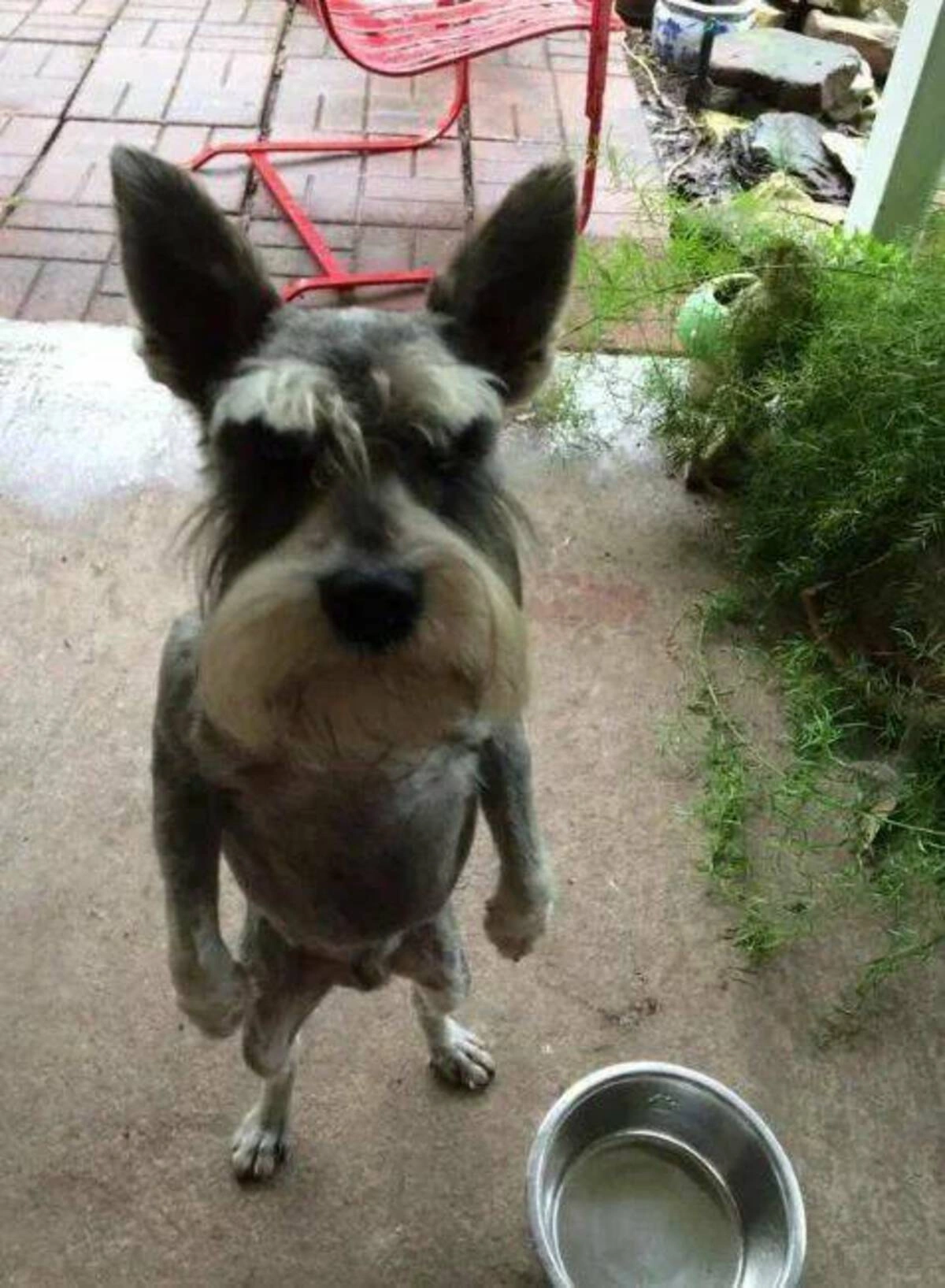 40 Midnight Musings for the Nocturnal Souls