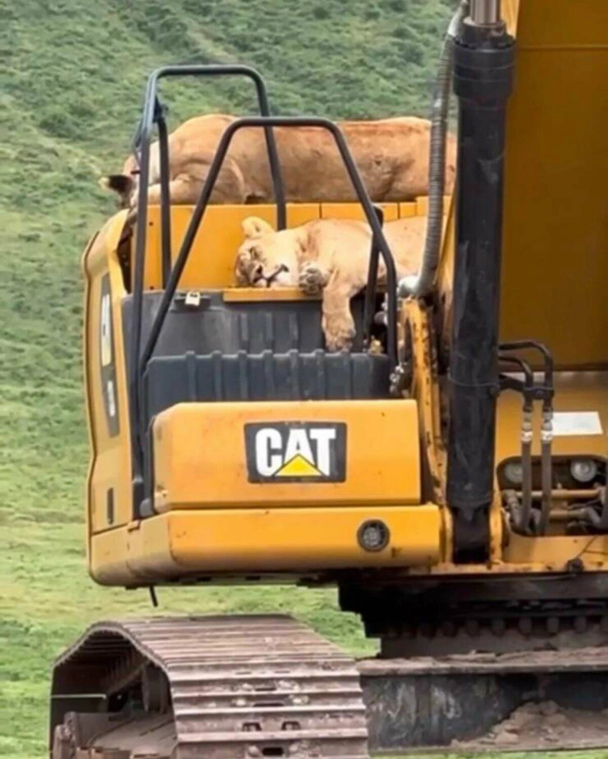 40 Midnight Musings for the Nocturnal Souls