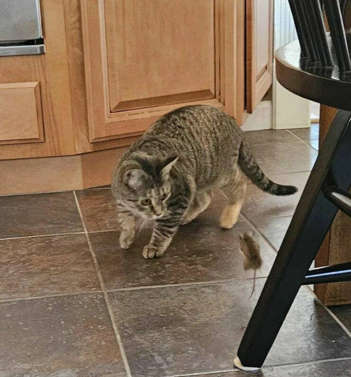 40 Midnight Musings for the Nocturnal Souls