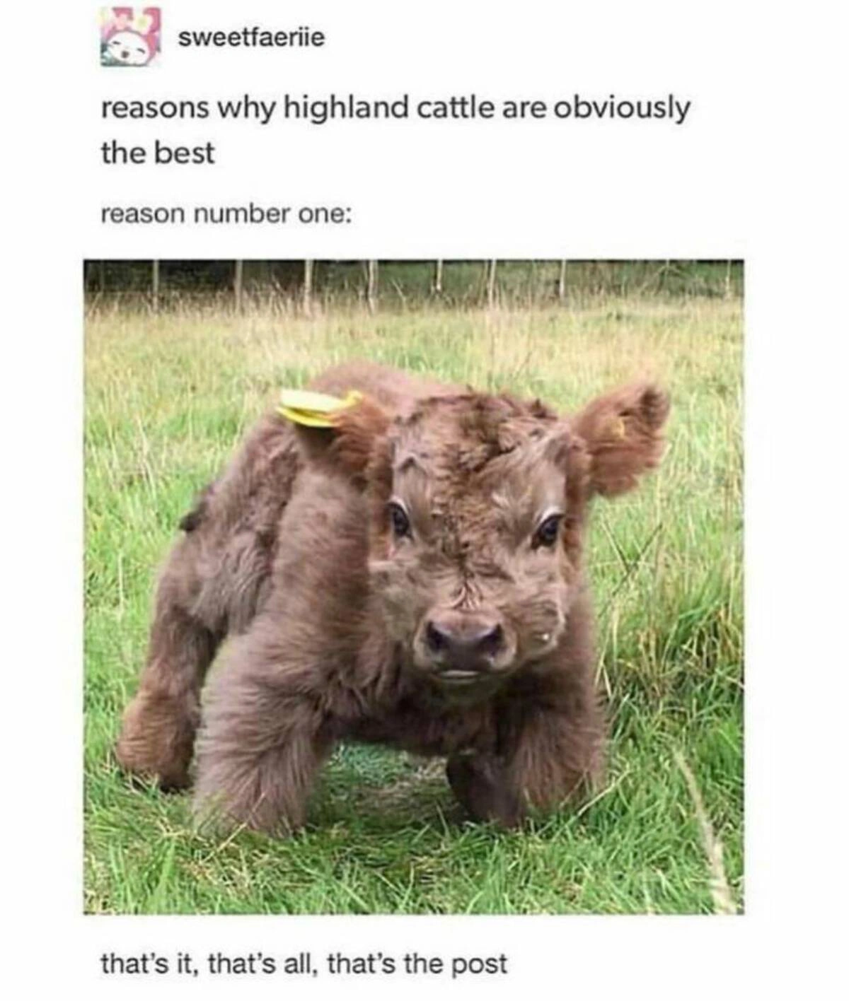 40 Midnight Musings for the Nocturnal Souls