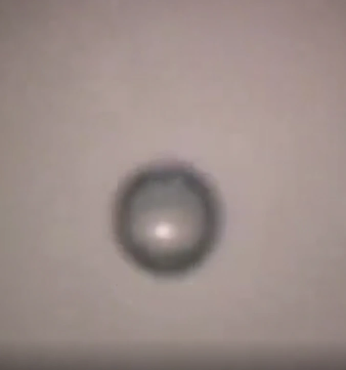 Exploring the Quirky and Captivating Sights of Our Unconventional World: 23 Unique and Intriguing Photos