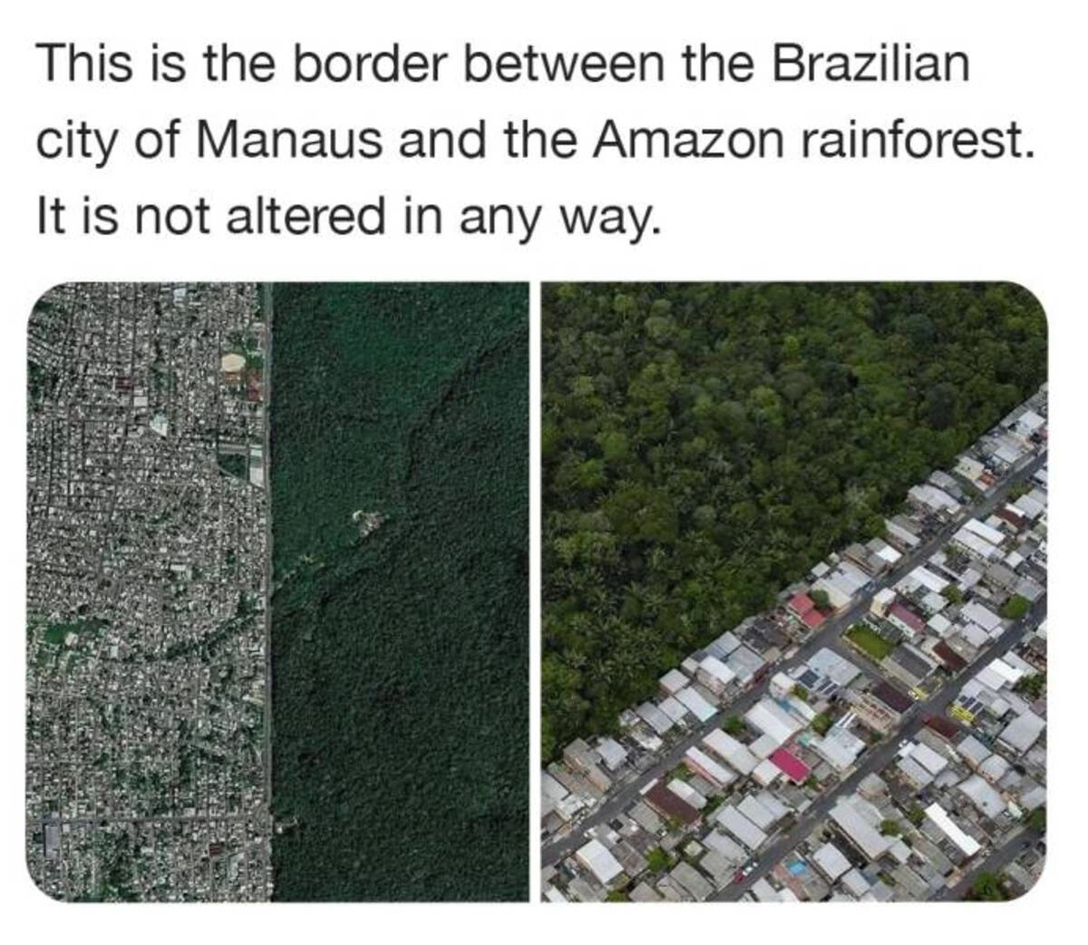 Noon Nonsense: 45 Hilarious Memes and Pics to Brighten Your Day
