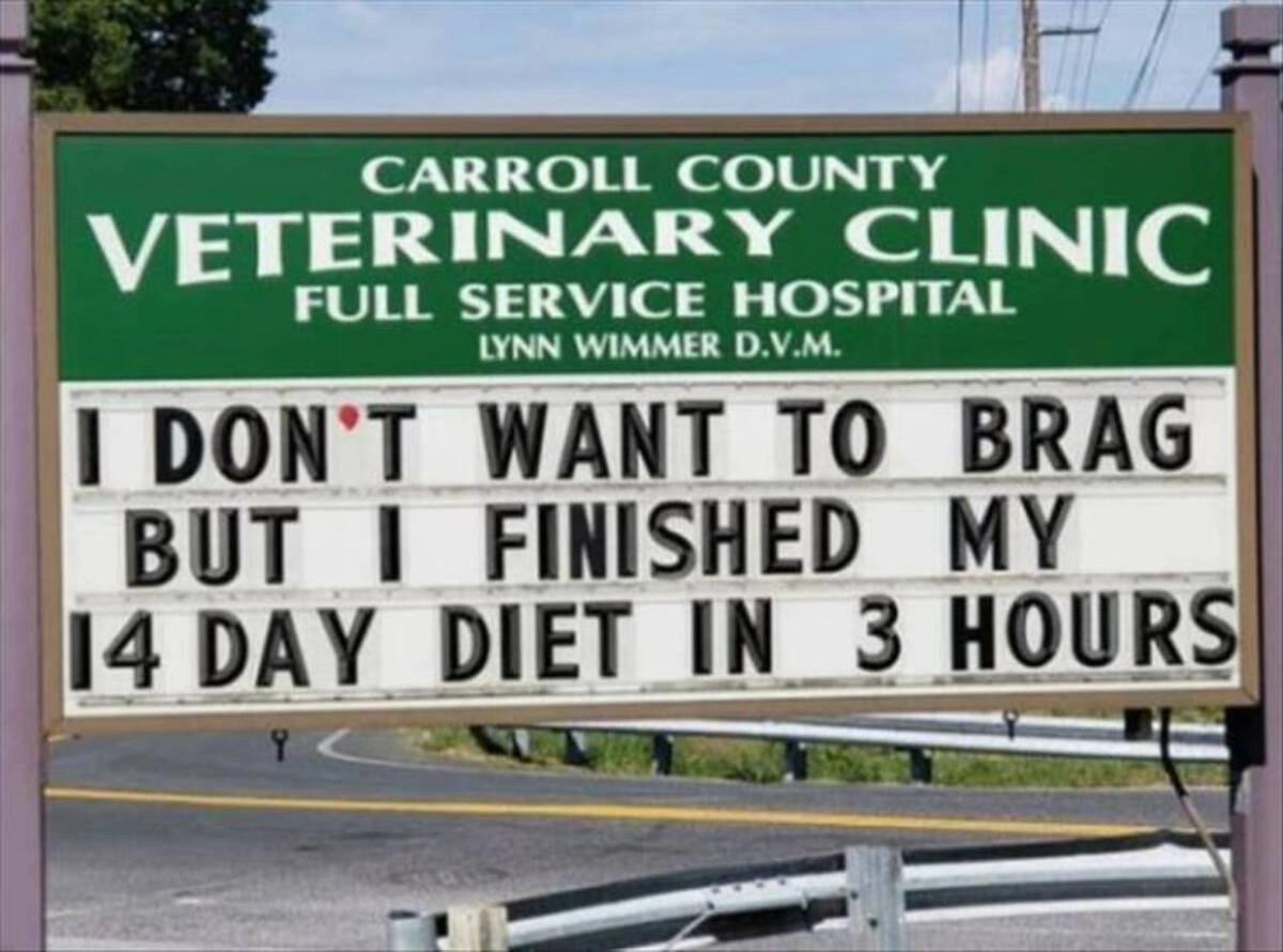Noon Nonsense: 45 Hilarious Memes and Pics to Brighten Your Day