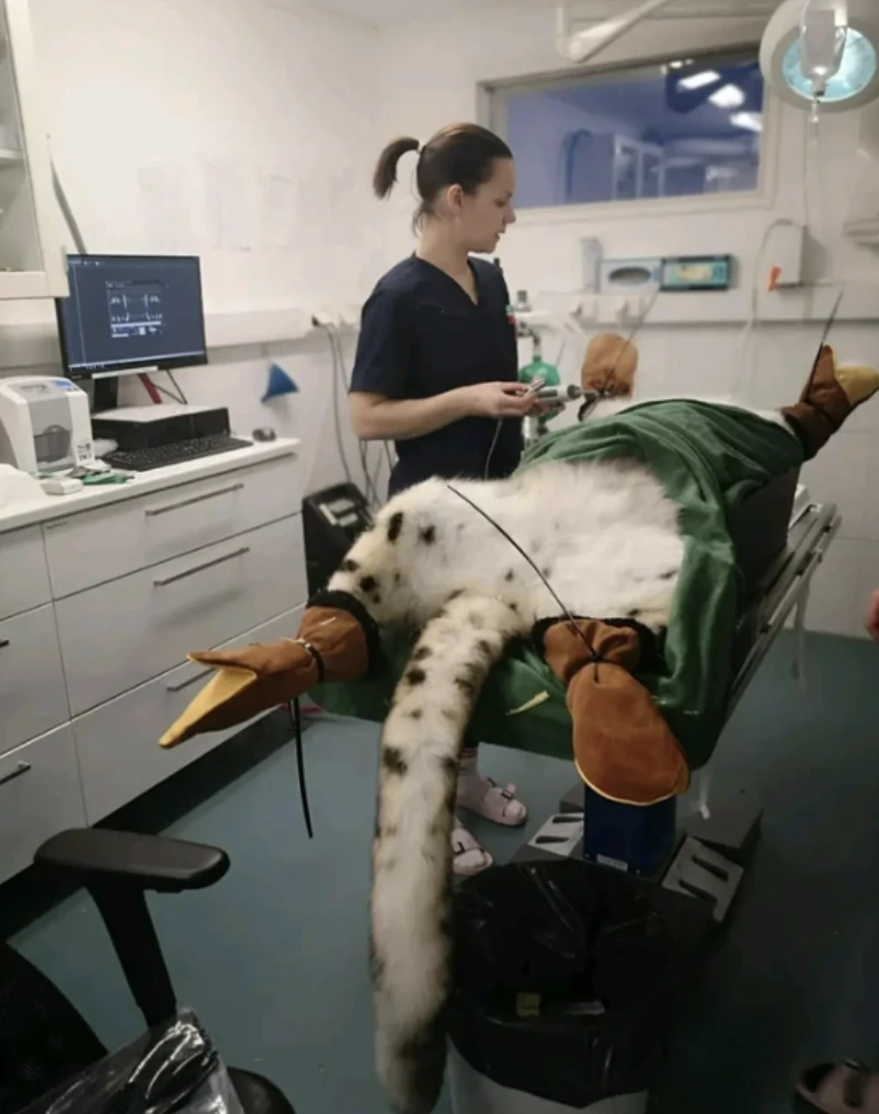 48 Quirky Brain Teasers for Your Thursday Morning