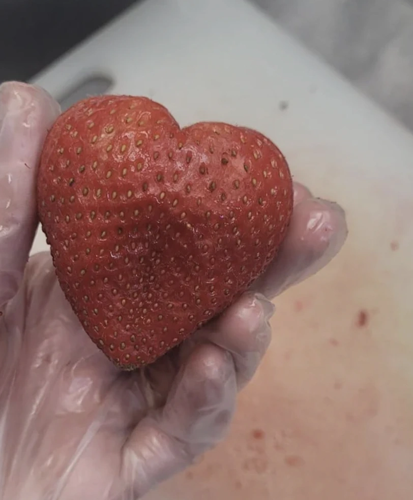 48 Quirky Brain Teasers for Your Thursday Morning