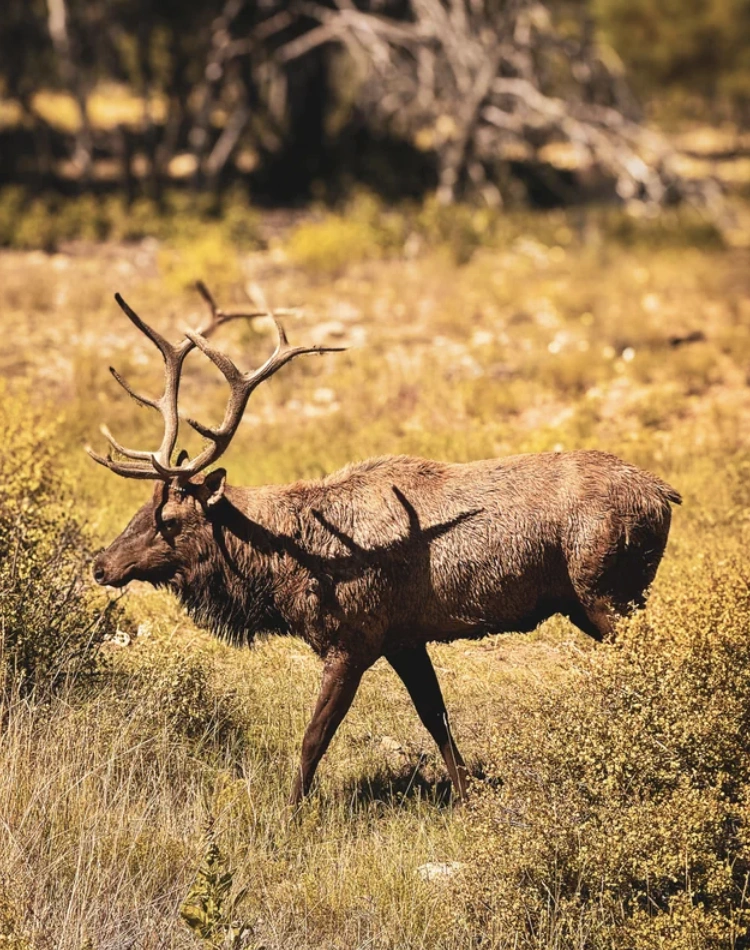 48 Quirky Brain Teasers for Your Thursday Morning