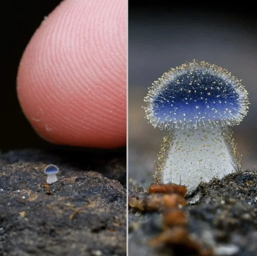 48 Quirky Brain Teasers for Your Thursday Morning