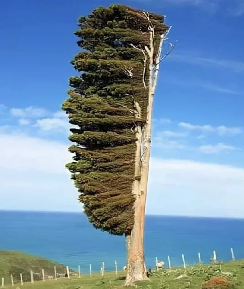 23 Fascinating Images from 'Wow, That's Intriguing'