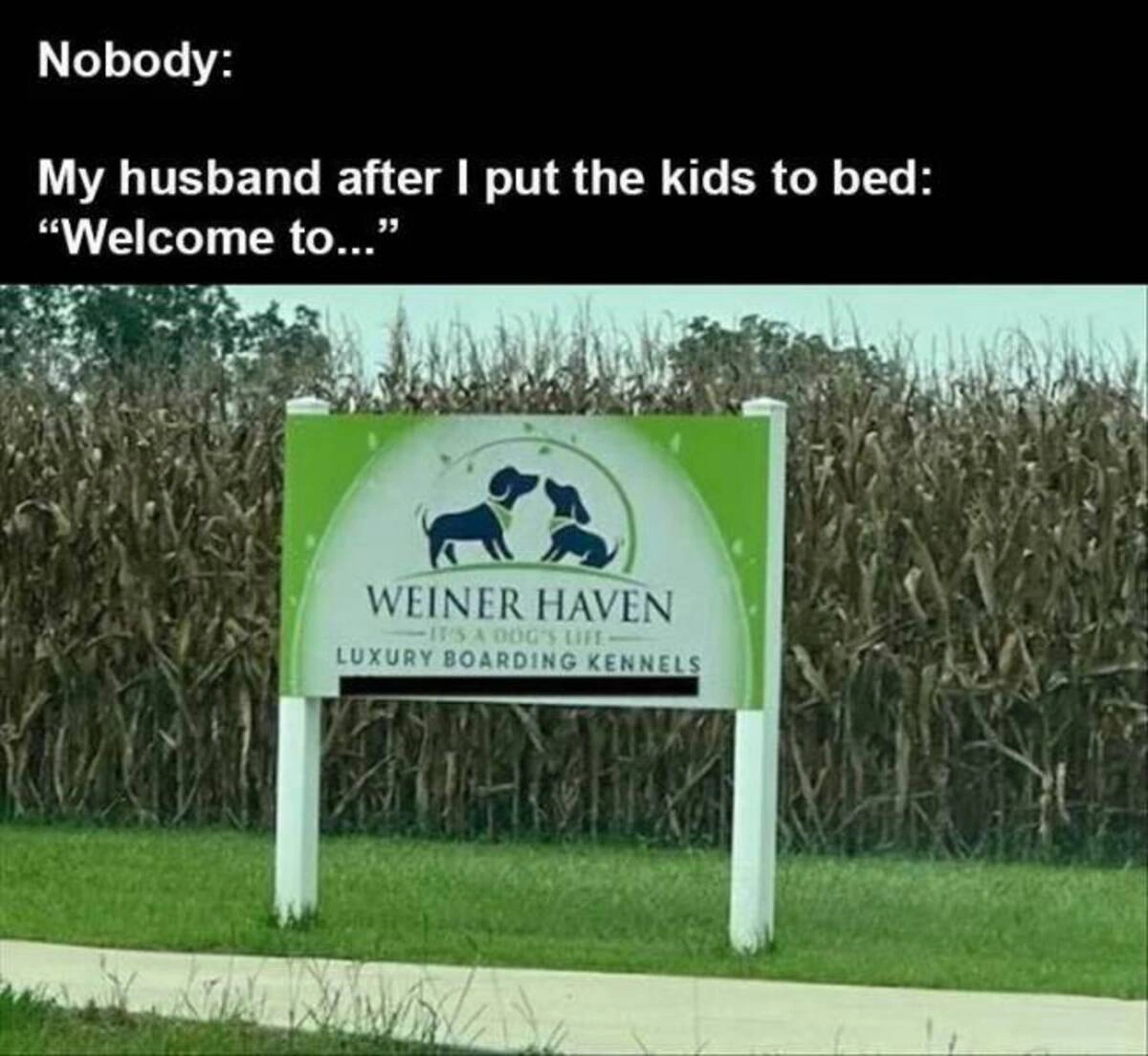 42 Captivating Midday Images Just for You