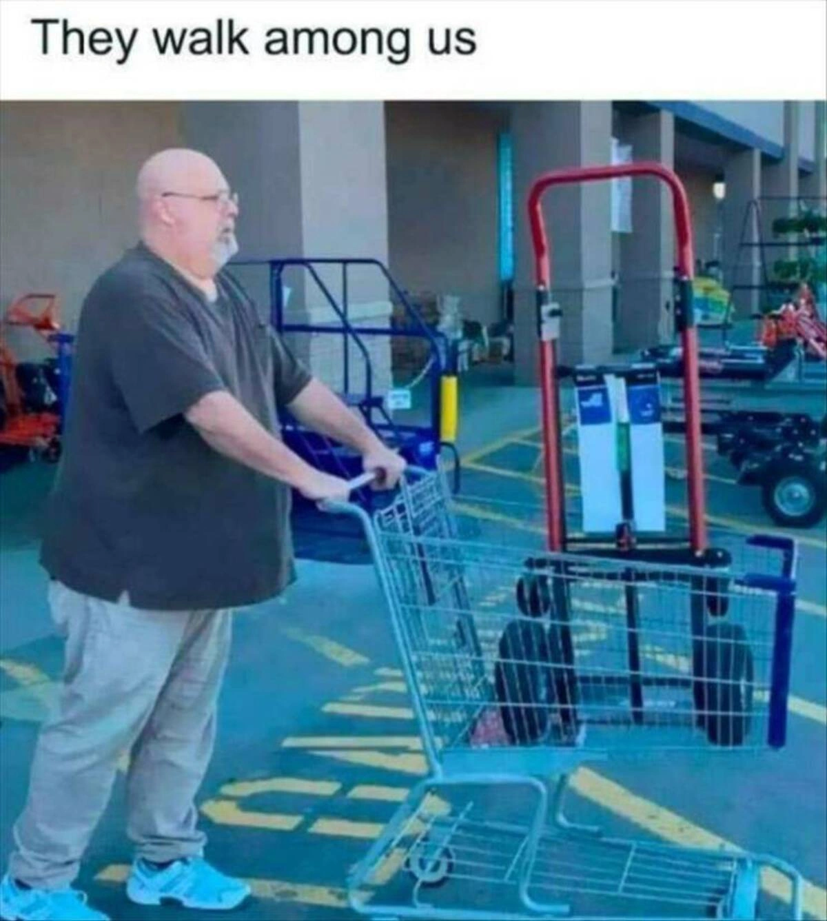 42 Captivating Midday Images Just for You