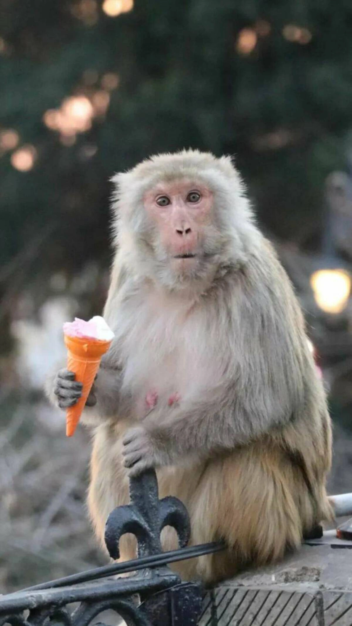 42 Captivating Midday Images Just for You