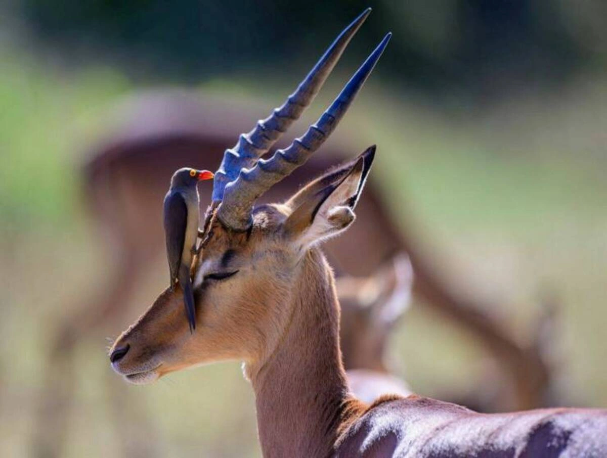 42 Captivating Midday Images Just for You