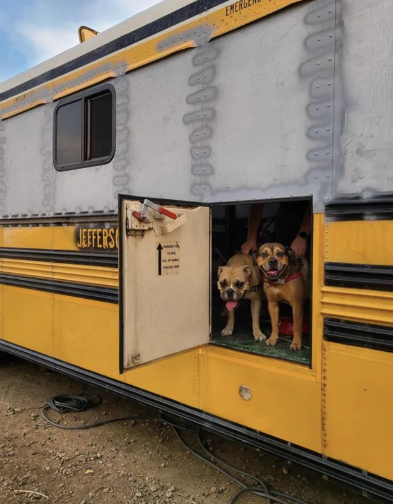 34 Customized School Buses That Are Ready to Roll