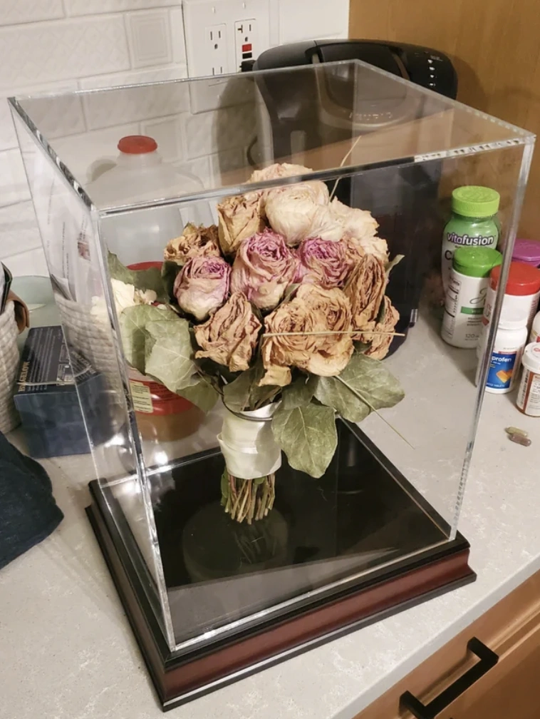 22 Fascinating Images with Captivating Stories Behind Them