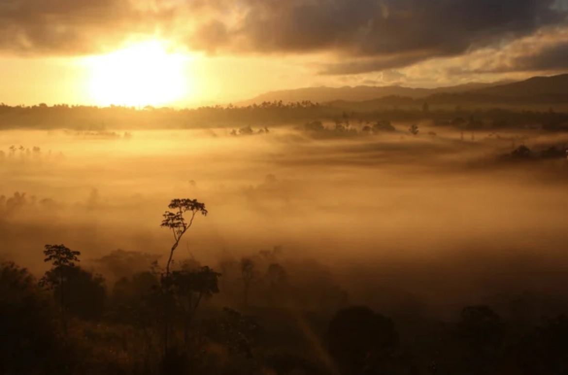 22 Fascinating Images with Captivating Stories Behind Them