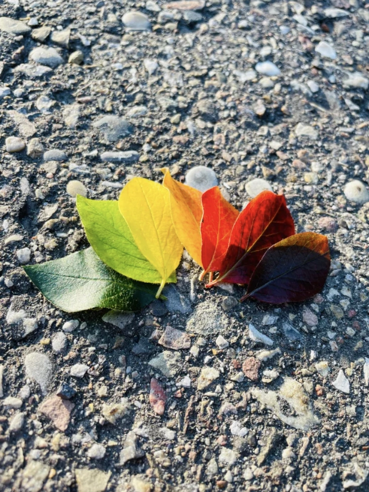 22 Fascinating Images with Captivating Stories Behind Them