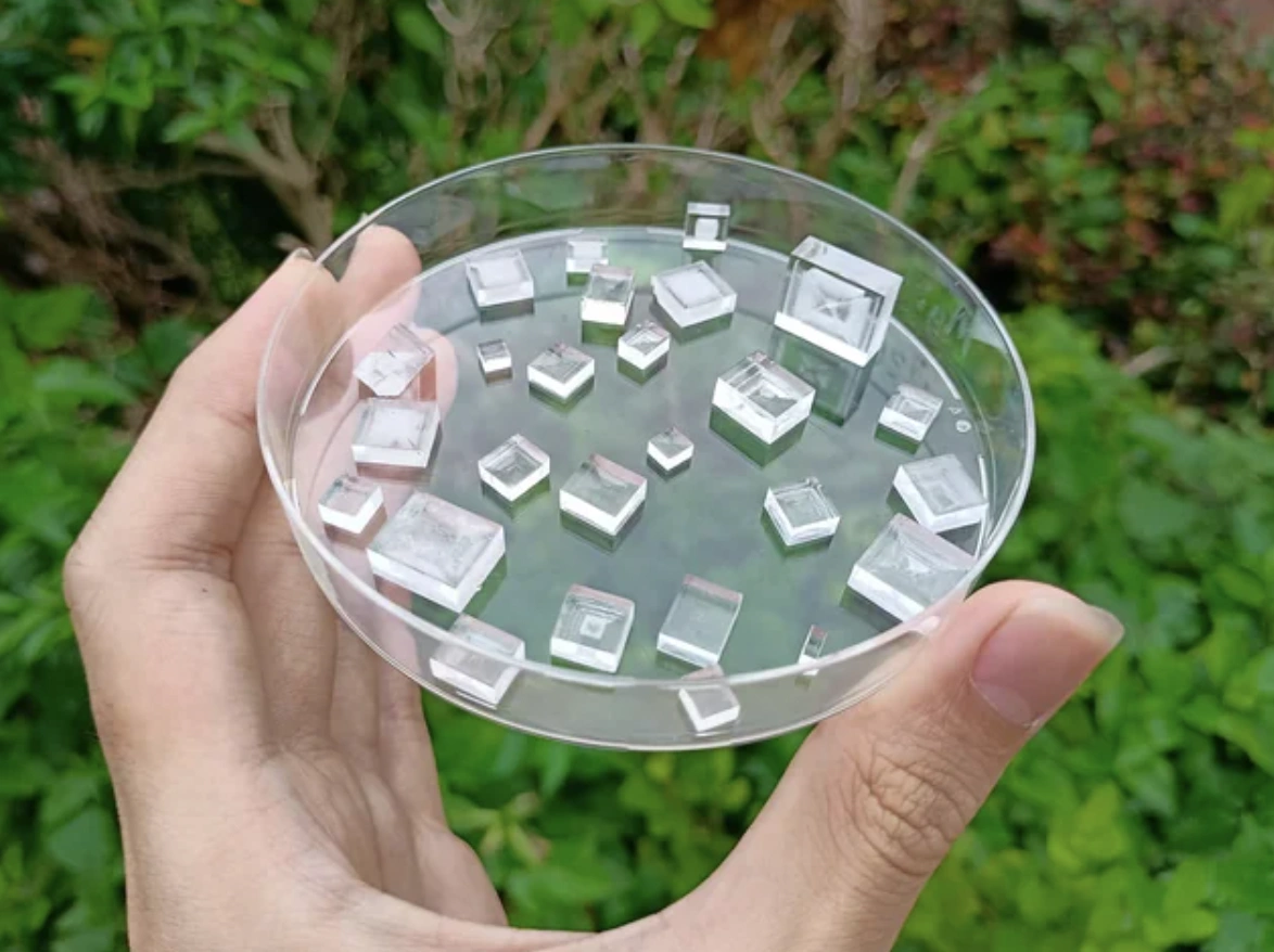 22 Fascinating Images with Captivating Stories Behind Them