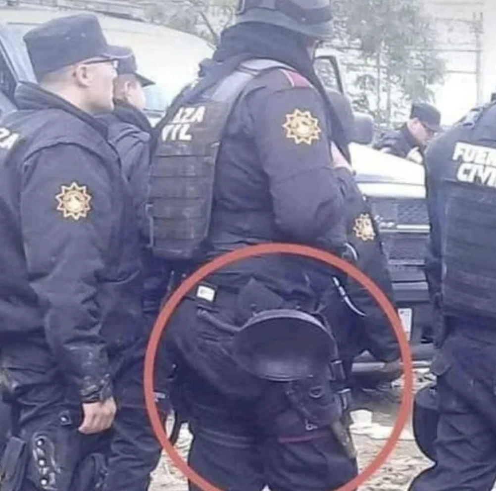 25 Bizarre Images Guaranteed to Make You Do a Double Take